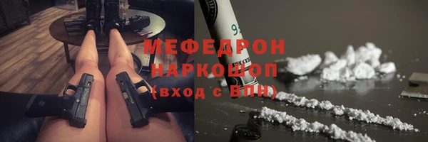 СК Алексин