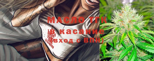 СК Алексин