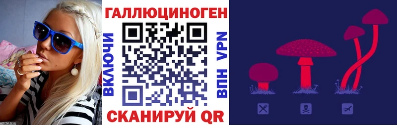 даркнет сайт  kraken   Псилоцибиновые грибы Psilocybe  Николаевск 